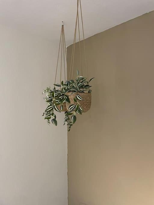 Almond Home Livadia  Luaran gambar